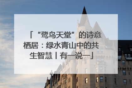 “鹭鸟天堂”的诗意栖居：绿水青山中的共生智慧丨有一说一