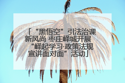 “黑悟空”引法治课新风尚 枣庄峄城开展“峄起学习·政策法规宣讲面对面”活动