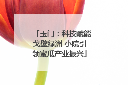 玉门：科技赋能戈壁绿洲 小院引领蜜瓜产业振兴