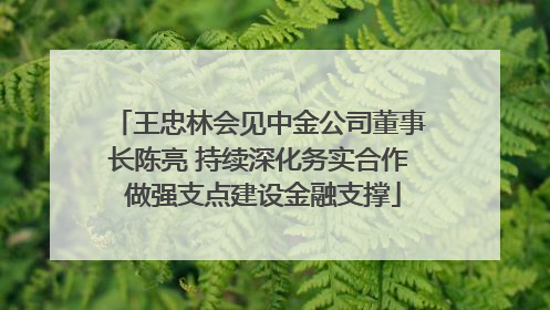 王忠林会见中金公司董事长陈亮 持续深化务实合作 做强支点建设金融支撑
