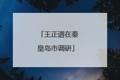 王正谱在秦皇岛市调研
