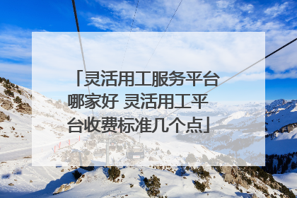 灵活用工服务平台哪家好 灵活用工平台收费标准几个点