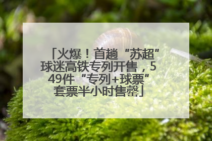 火爆！首趟“苏超”球迷高铁专列开售，549件“专列+球票”套票半小时售罄