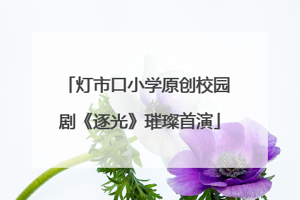 灯市口小学原创校园剧《逐光》璀璨首演