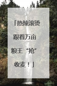 热辣滚烫 跟着万亩粮王“抢”收麦！