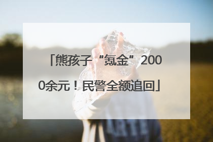 熊孩子“氪金”2000余元！民警全额追回