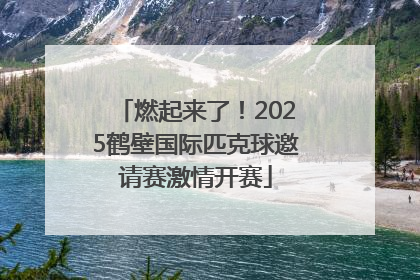 燃起来了！2025鹤壁国际匹克球邀请赛激情开赛