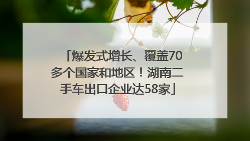 爆发式增长、覆盖70多个国家和地区！湖南二手车出口企业达58家