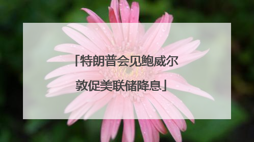 特朗普会见鲍威尔 敦促美联储降息