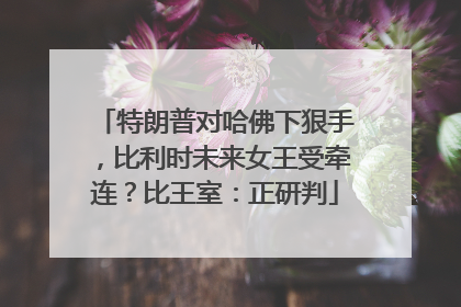 特朗普对哈佛下狠手，比利时未来女王受牵连？比王室：正研判