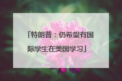 特朗普：仍希望有国际学生在美国学习