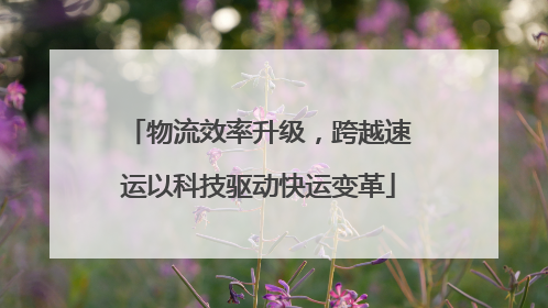 物流效率升级，跨越速运以科技驱动快运变革