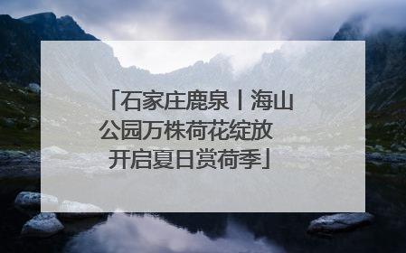 石家庄鹿泉丨海山公园万株荷花绽放 开启夏日赏荷季