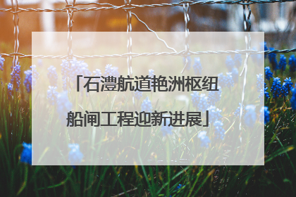 石澧航道艳洲枢纽船闸工程迎新进展