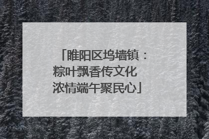 睢阳区坞墙镇：粽叶飘香传文化 浓情端午聚民心