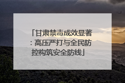 甘肃禁毒成效显著：高压严打与全民防控构筑安全防线