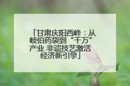 甘肃庆阳西峰：从岐伯药袋到“千万”产业 非遗技艺激活经济新引擎