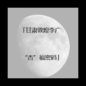 甘肃敦煌李广“杏”福密码