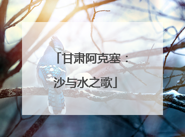 甘肃阿克塞：沙与水之歌