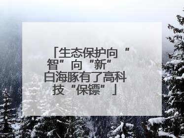 生态保护向“智”向“新” 白海豚有了高科技“保镖”