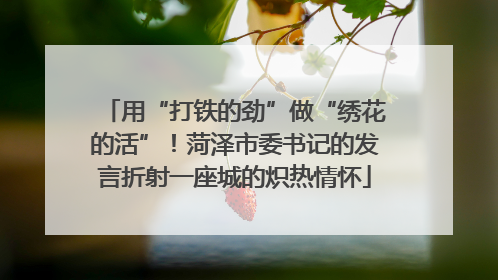 用“打铁的劲”做“绣花的活”！菏泽市委书记的发言折射一座城的炽热情怀