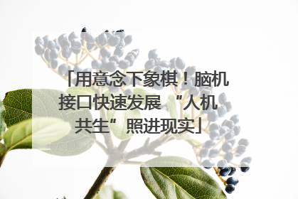 用意念下象棋！脑机接口快速发展 “人机共生”照进现实