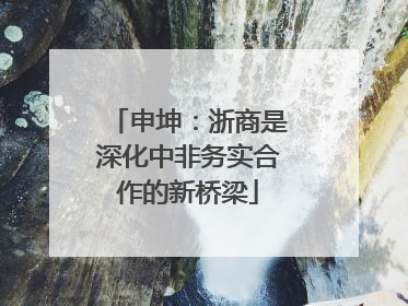 申坤：浙商是深化中非务实合作的新桥梁
