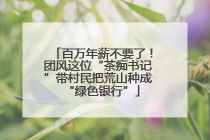 百万年薪不要了！团风这位“茶痴书记”带村民把荒山种成“绿色银行”