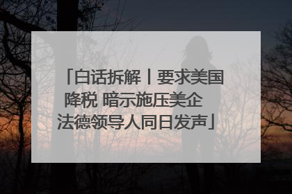 白话拆解丨要求美国降税 暗示施压美企 法德领导人同日发声