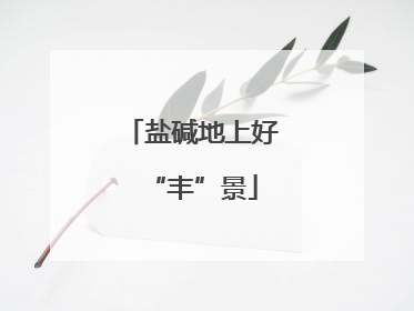 盐碱地上好“丰”景