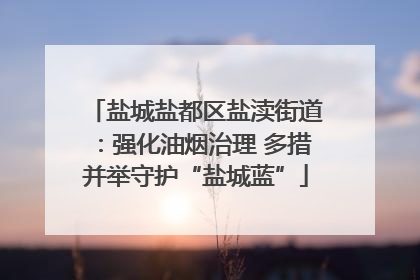 盐城盐都区盐渎街道：强化油烟治理 多措并举守护“盐城蓝”