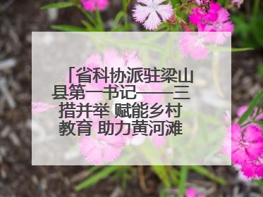 省科协派驻梁山县第一书记——三措并举 赋能乡村教育 助力黄河滩娃健康成长