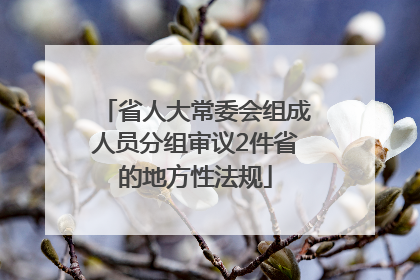 省人大常委会组成人员分组审议2件省的地方性法规