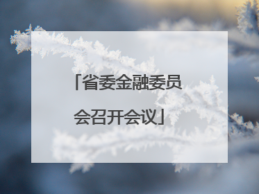 省委金融委员会召开会议