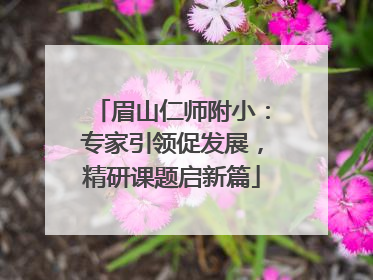 眉山仁师附小：专家引领促发展，精研课题启新篇