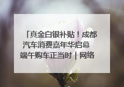 真金白银补贴！成都汽车消费嘉年华启幕 端午购车正当时｜网络中国节·端午
