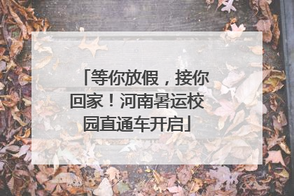 等你放假，接你回家！河南暑运校园直通车开启
