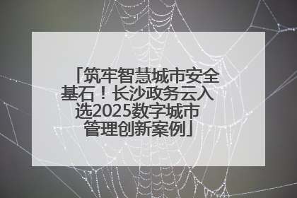 筑牢智慧城市安全基石！长沙政务云入选2025数字城市管理创新案例