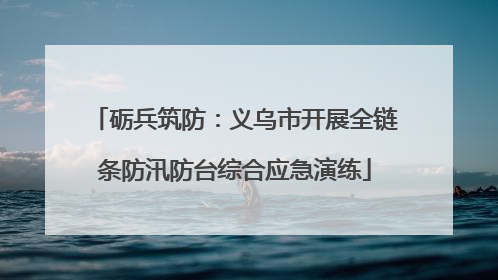 砺兵筑防：义乌市开展全链条防汛防台综合应急演练