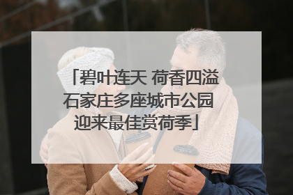 碧叶连天 荷香四溢 石家庄多座城市公园迎来最佳赏荷季