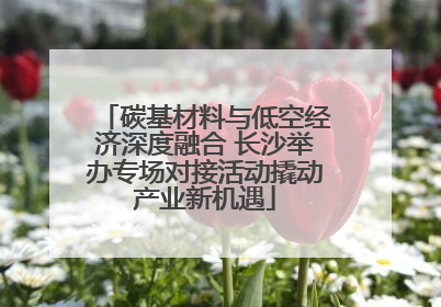 碳基材料与低空经济深度融合 长沙举办专场对接活动撬动产业新机遇