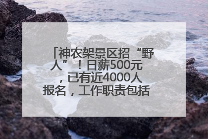 神农架景区招“野人”！日薪500元，已有近4000人报名，工作职责包括“接受游客投喂”