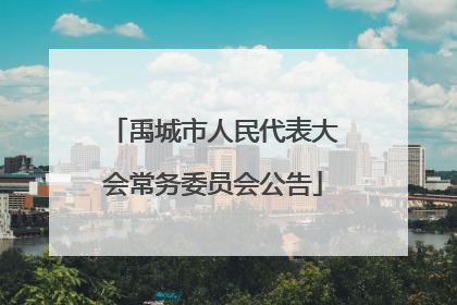 禹城市人民代表大会常务委员会公告