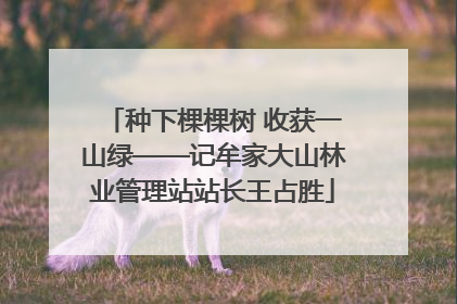种下棵棵树 收获一山绿——记牟家大山林业管理站站长王占胜