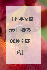 科学家揭示中国超500种毒蘑菇