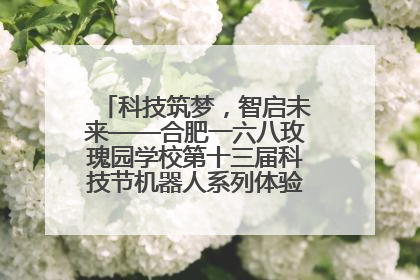 科技筑梦，智启未来——合肥一六八玫瑰园学校第十三届科技节机器人系列体验赛燃动校园