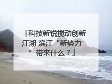 科技新锐搅动创新江湖 滨江“新势力”带来什么？