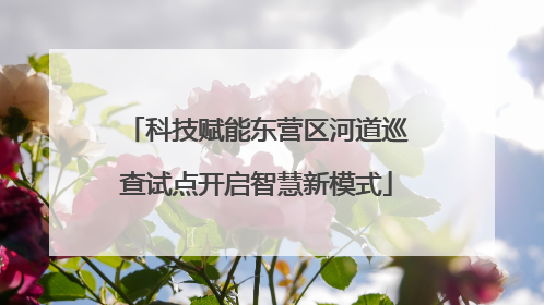 科技赋能东营区河道巡查试点开启智慧新模式