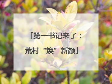 第一书记来了：荒村“焕”新颜