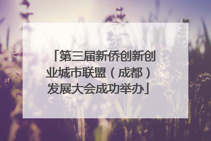 第三届新侨创新创业城市联盟（成都）发展大会成功举办